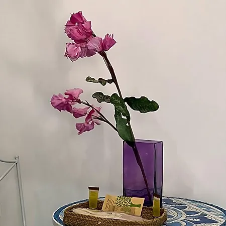 Dimora Bellini Агрополи