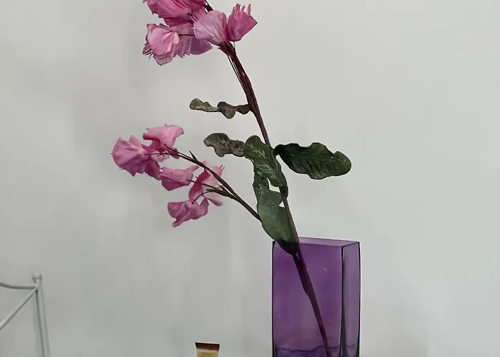 Bed and breakfast Dimora Bellini Agropoli